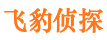 西峡出轨调查